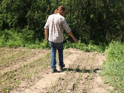 Permakultura Zlatna Jutra