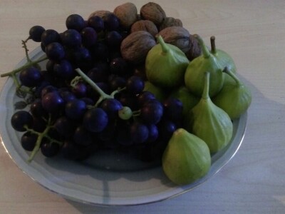 Permakultura Zlatna Jutra