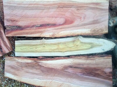 Permakultura Zlatna Jutra