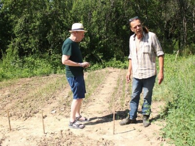 Permakultura Zlatna Jutra