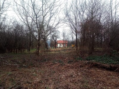 Permakultura Zlatna Jutra