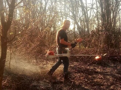 Permakultura Zlatna Jutra