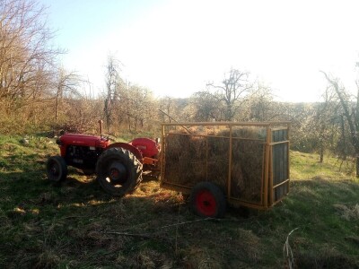 Permakultura Zlatna Jutra