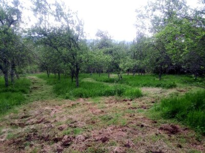 Permakultura Zlatna Jutra