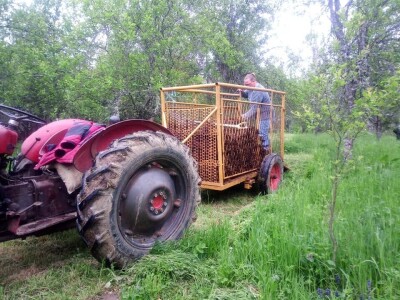 Permakultura Zlatna Jutra