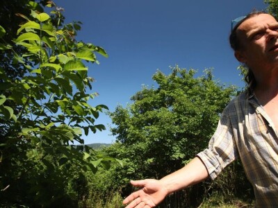 Permakultura Zlatna Jutra