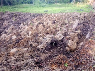 Permakultura Zlatna Jutra