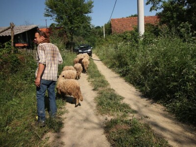 Permakultura Zlatna Jutra