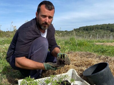 Pero Vojković - permakultura na Visu