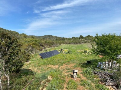 Pero Vojković - permakultura na Visu