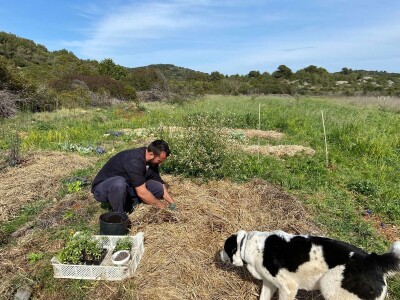 Pero Vojković - permakultura na Visu