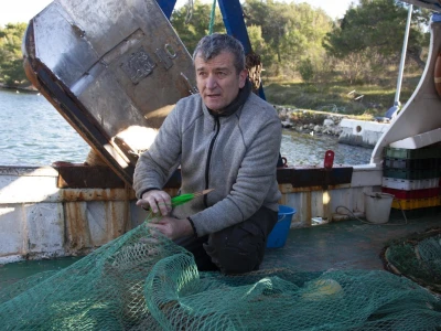 Petar Baranović
