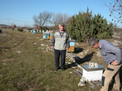 Petar i Nikola Čokolić (otac i sin) u pčelinjaku u dalmatinskom kršu
