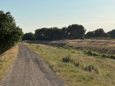 Petar Ognjenović, jedan od posljednjih baranjskih uzgajivača ovaca