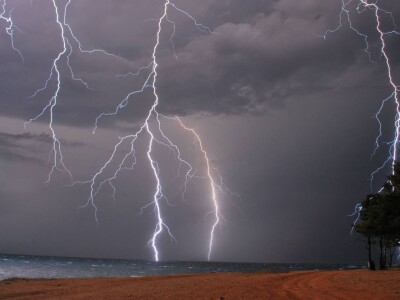 Petar Radovan, diplomirani agronom i predsjednik udruge Istramet
