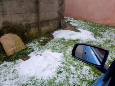 Petar Radovan, diplomirani agronom i predsjednik udruge Istramet