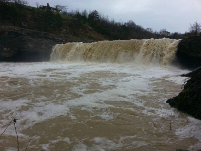 Petar Radovan, diplomirani agronom i predsjednik udruge Istramet