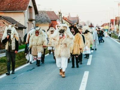 Petaračke buše