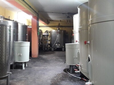 Peti naraštaj koji baštini ljubav prema vinogradarstvu i vinarstvu