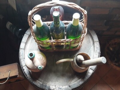 Peti naraštaj koji baštini ljubav prema vinogradarstvu i vinarstvu