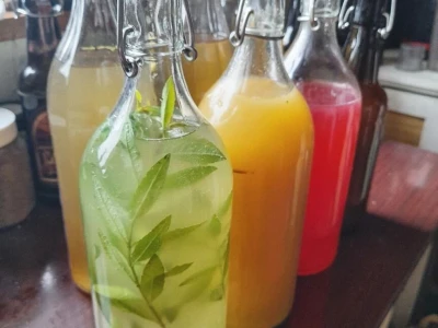 Fermentiranim napitcima do boljeg imuniteta