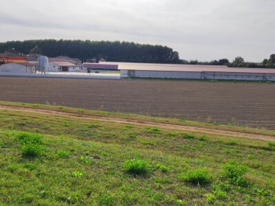 Petrinja Chicken Company