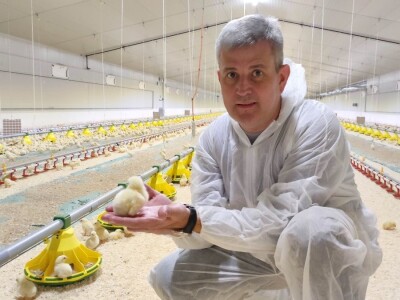 Petrinja Chicken Company