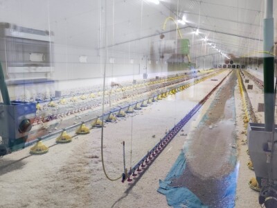 Petrinja Chicken Company