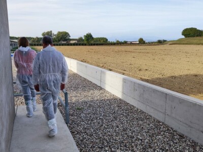 Petrinja Chicken Company