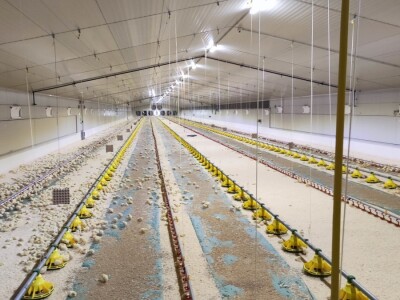 Petrinja Chicken Company