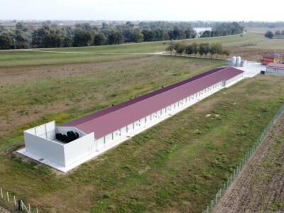 Petrinja Chicken Company