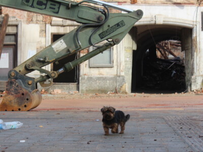 Petrinja nakon potresa Petrinja nakon potresa