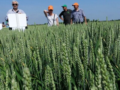 Petrokemija Kutina organizirala je u Koprivnici tematsku radionicu - Primjena UAN-a zajedno sa zaštitnim sredstvima