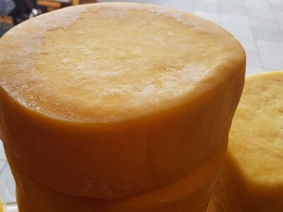 Petrovački sir - tajna za dugovječnost Petrovački sir - tajna za dugovječnost