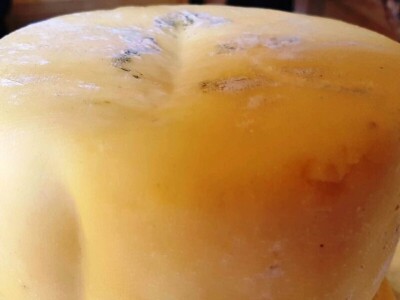 Petrovački sir - tajna za dugovječnost Petrovački sir - tajna za dugovječnost