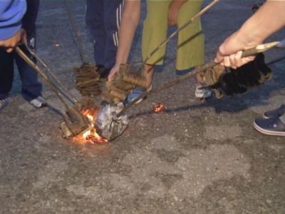 Petrovdanske lile - običaj zbog koga stradaju divlje trešnje