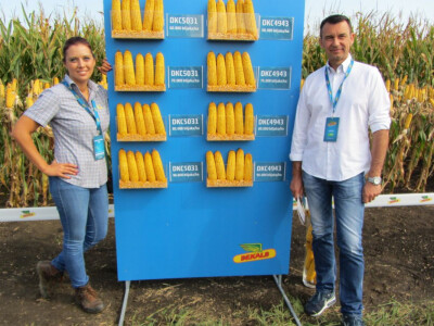 DEKALB Inovativni centar 2016.