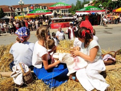 Picokijada Đurđevac 2014.