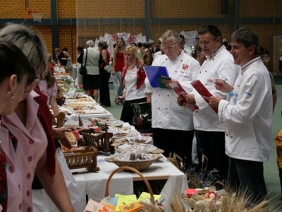 Picokijada Đurđevac 2014.