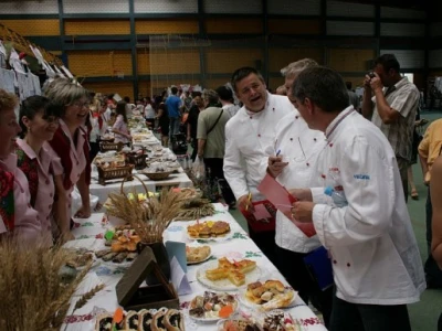 Picokijada Đurđevac 2014.