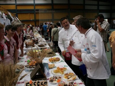 Picokijada Đurđevac 2014.