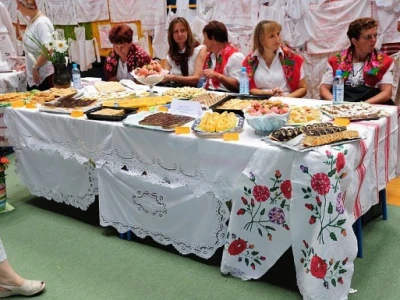 Picokijada Đurđevac 2014.