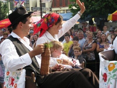 Picokijada Đurđevac 2014.