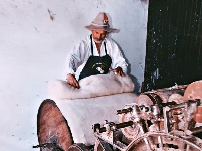 Samostalna djelatnost Pelc