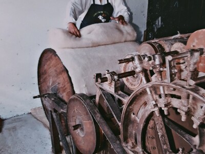 Samostalna djelatnost Pelc