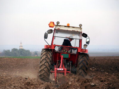 Plastenici Dimitrija Đurđevića iz Malih Radinaca