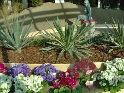 Za sajam cvijeća Ortogiardino interesa ne nedostaje