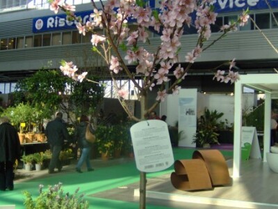 Za sajam cvijeća Ortogiardino interesa ne nedostaje