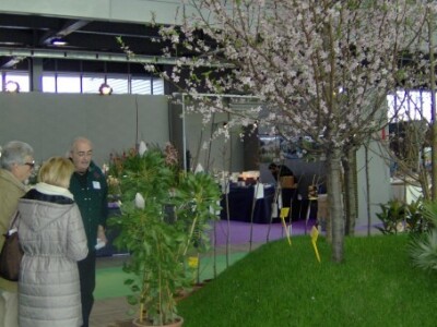 Za sajam cvijeća Ortogiardino interesa ne nedostaje