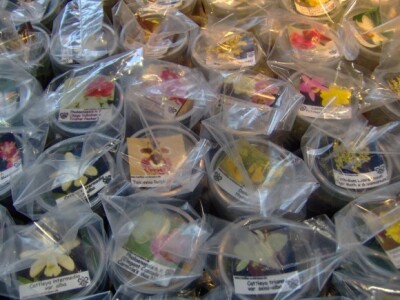 Za sajam cvijeća Ortogiardino interesa ne nedostaje